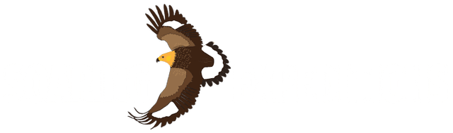 Soaring Expeditions